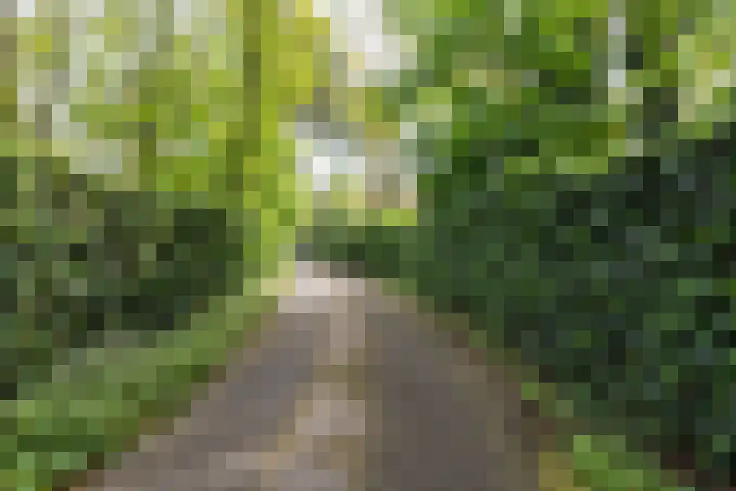 Westerduinweg 1 a Aerdenhout thumbnail 36