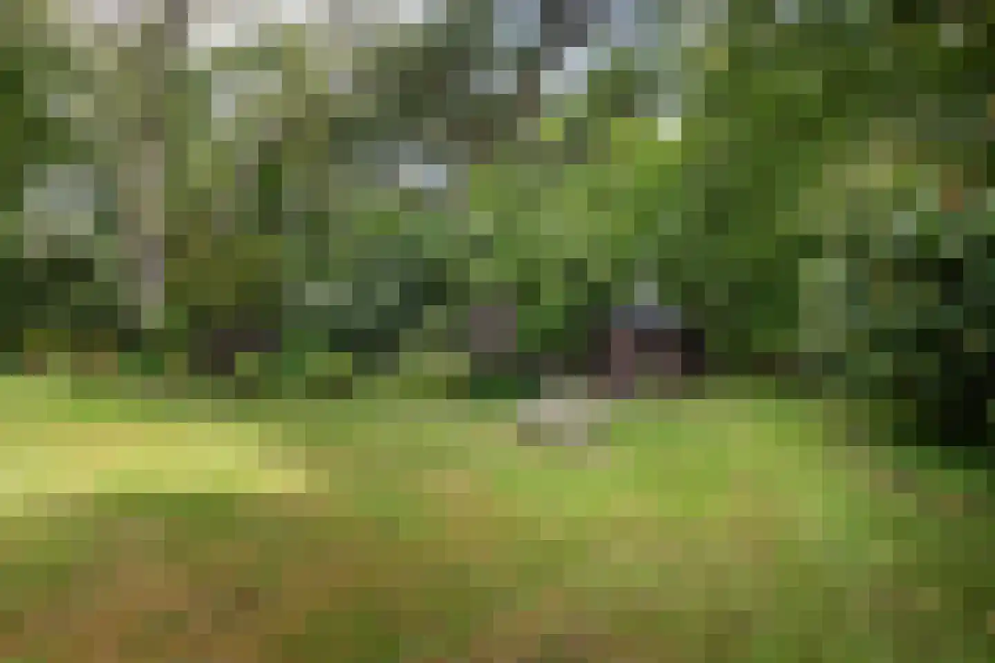 Westerduinweg 1 a Aerdenhout thumbnail 7