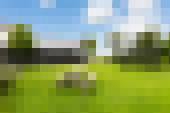 Westerduinweg 10 Petten thumbnail 15