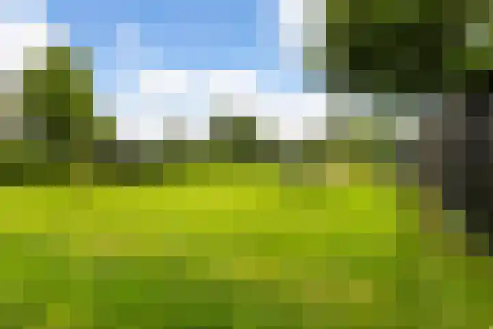 Westerduinweg 10 Petten thumbnail 16