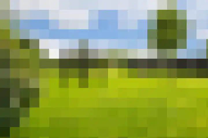 Westerduinweg 10 Petten thumbnail 17