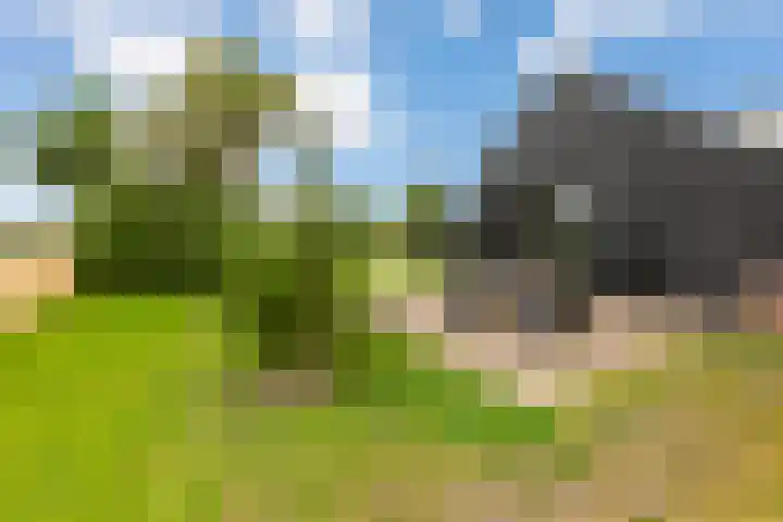 Westerduinweg 10 Petten thumbnail 18