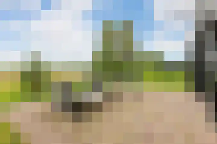 Westerduinweg 10 Petten thumbnail 19