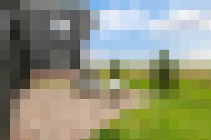 Westerduinweg 10 Petten thumbnail 20