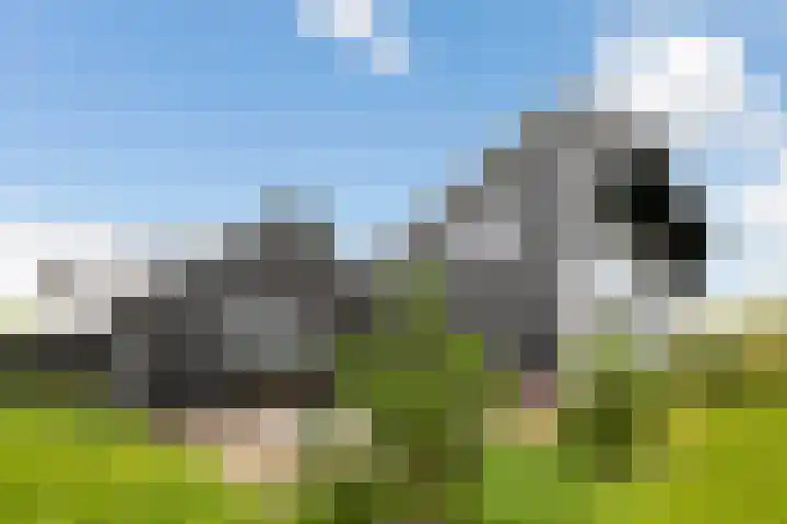 Westerduinweg 10 Petten thumbnail 21