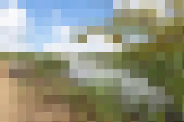 Westerduinweg 10 Petten thumbnail 34