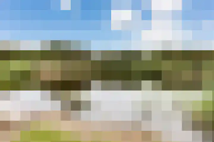 Westerduinweg 10 Petten thumbnail 35