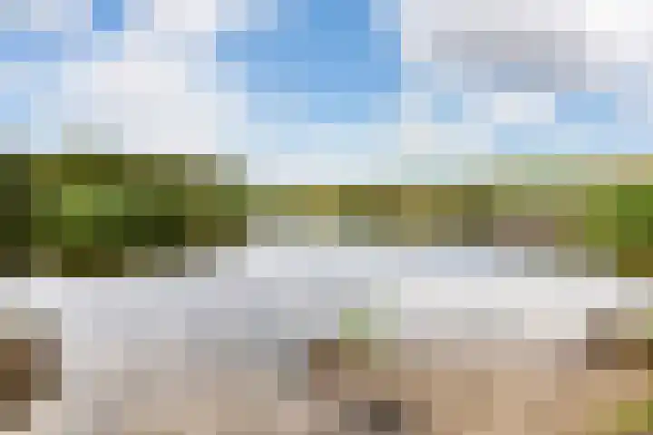 Westerduinweg 10 Petten thumbnail 36