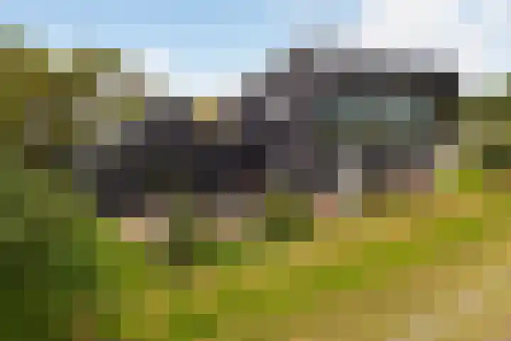 Westerduinweg 10 Petten thumbnail 37