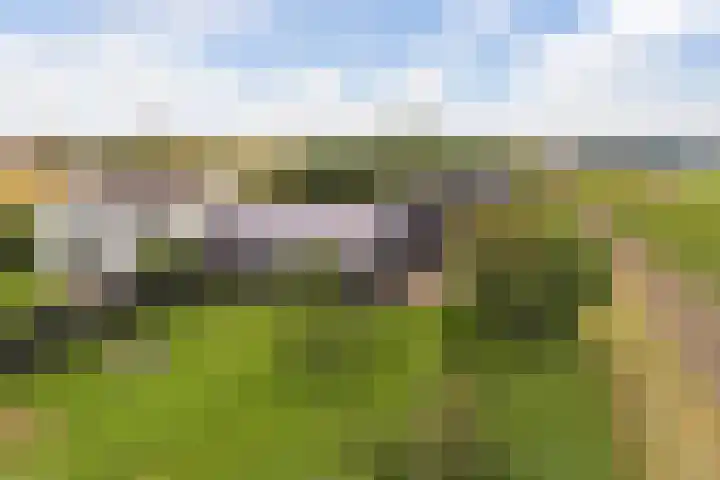 Westerduinweg 10 Petten thumbnail 5