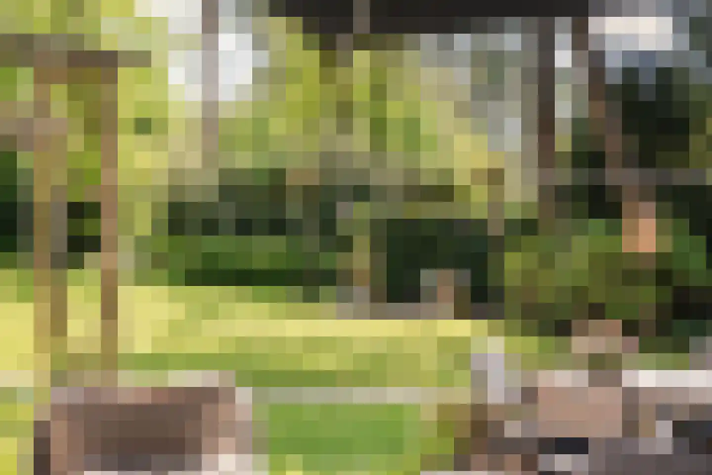Westerduinweg 3 Aerdenhout thumbnail 25