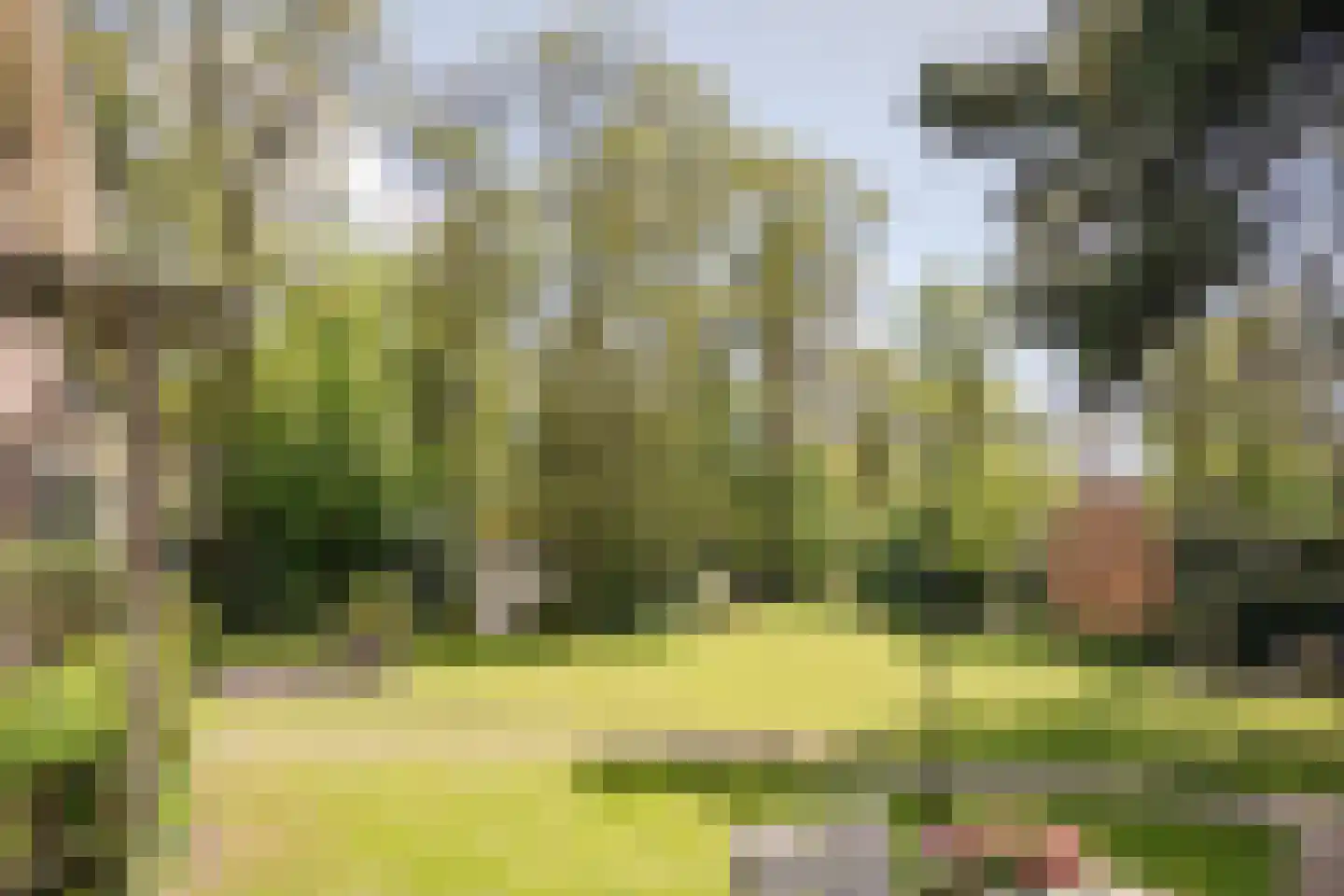 Westerduinweg 3 Aerdenhout thumbnail 26
