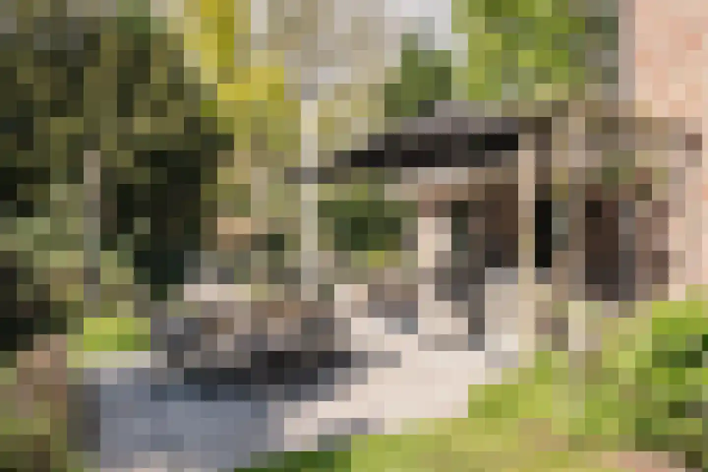 Westerduinweg 3 Aerdenhout thumbnail 27