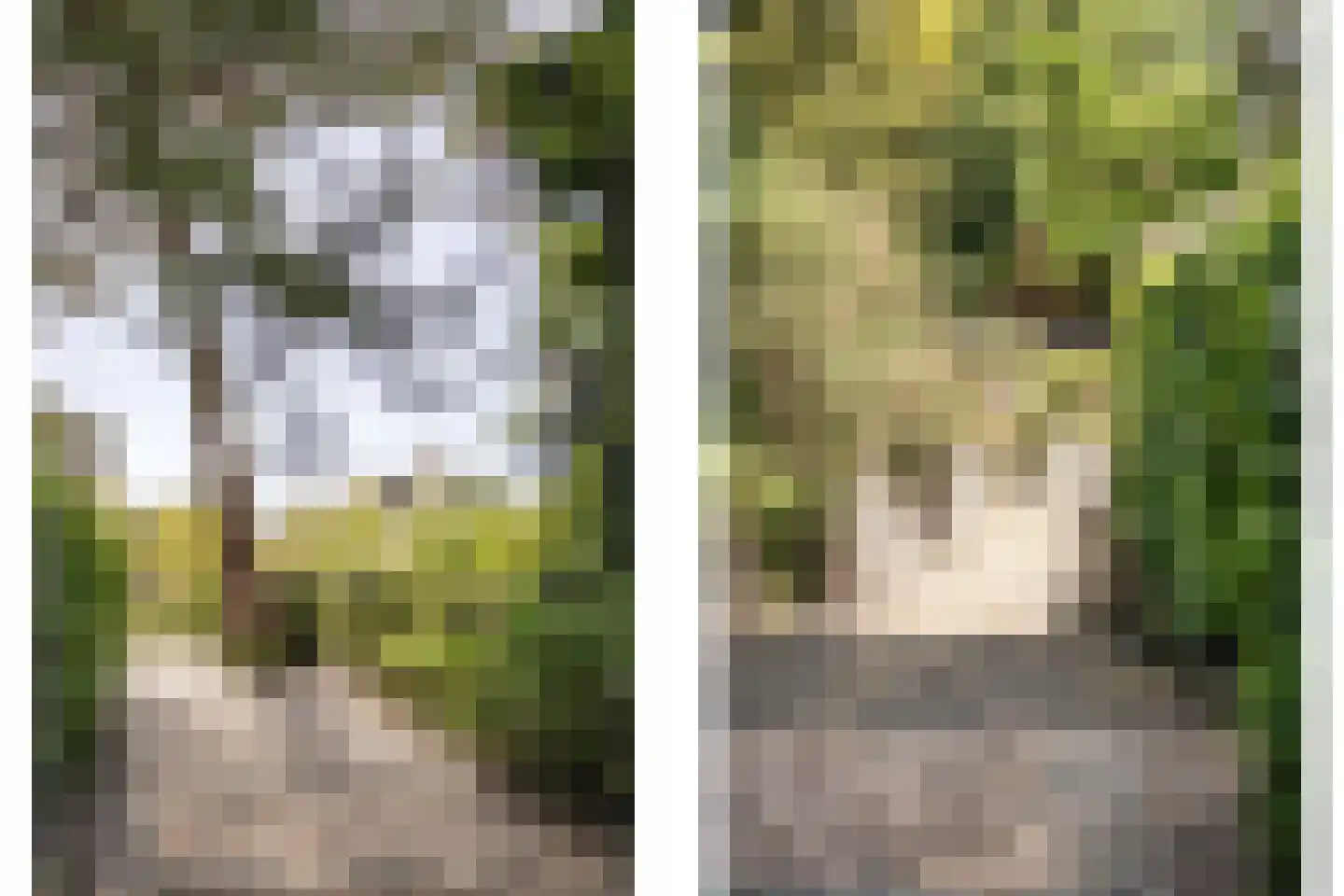 Westerduinweg 3 Aerdenhout thumbnail 31