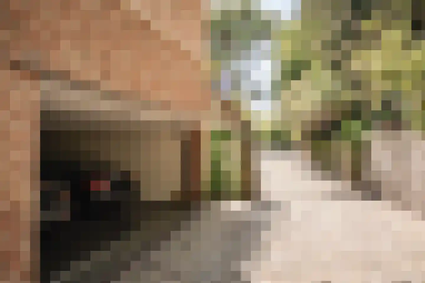 Westerduinweg 3 Aerdenhout thumbnail 32