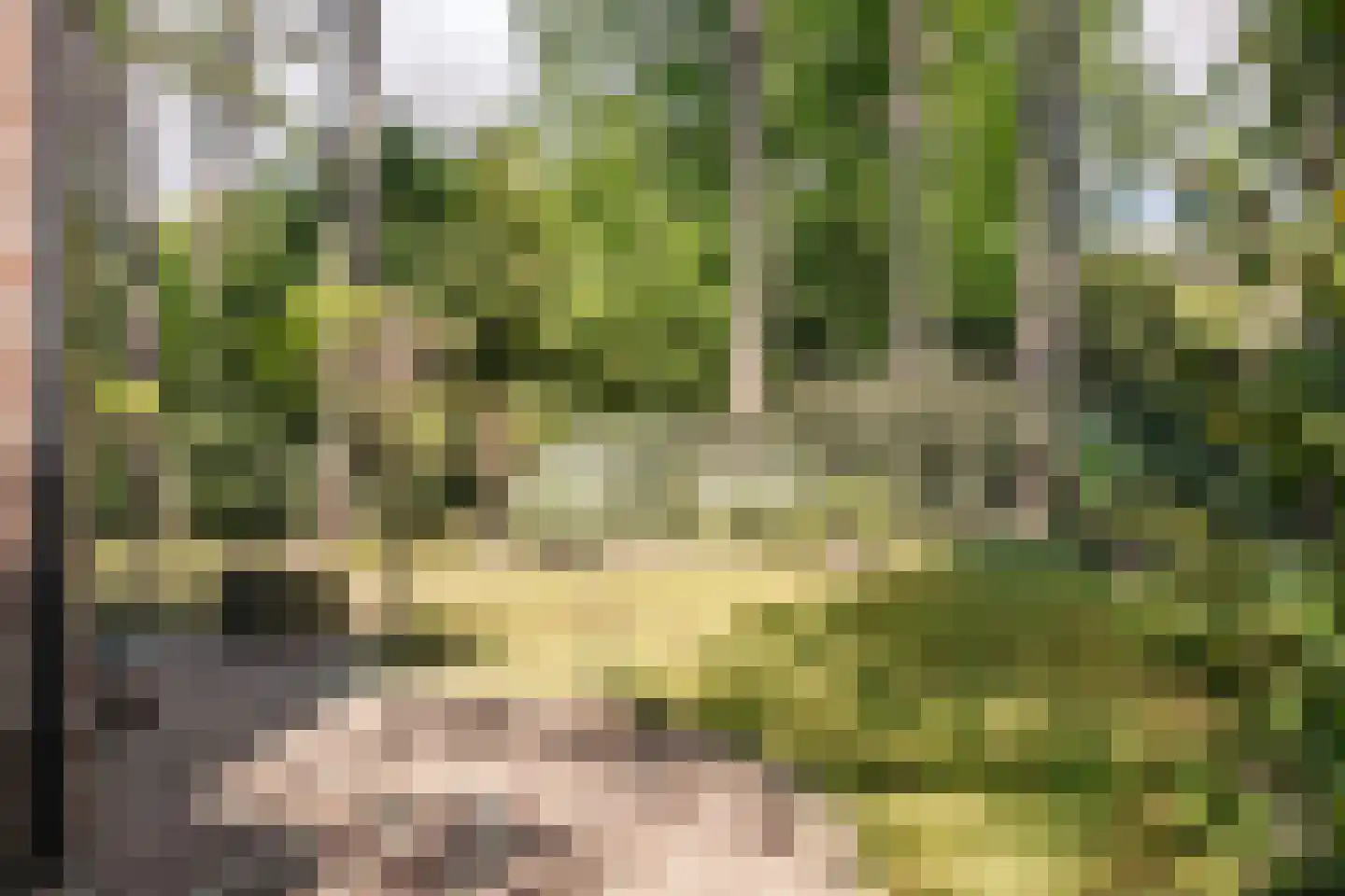Westerduinweg 3 Aerdenhout thumbnail 63