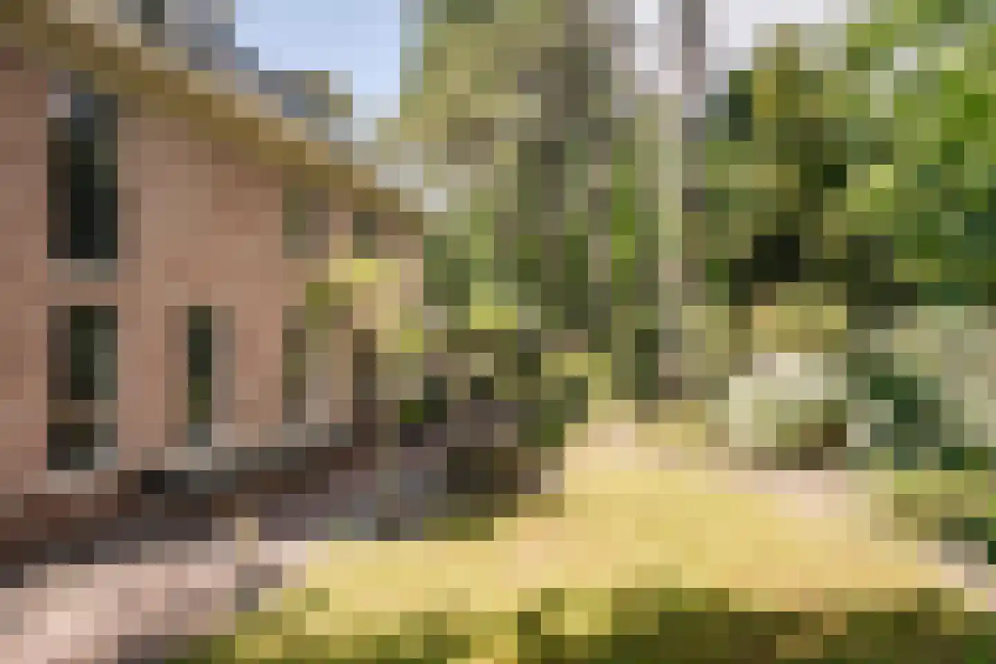 Westerduinweg 3 Aerdenhout thumbnail 64