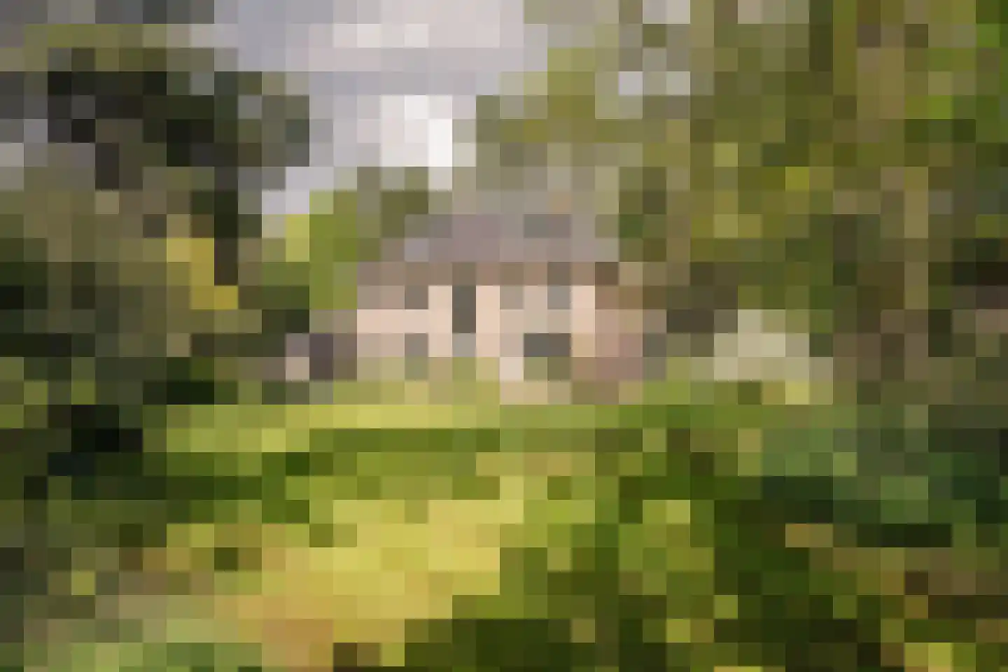 Westerduinweg 3 Aerdenhout thumbnail 65