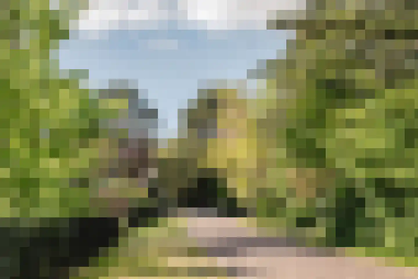 Westerduinweg 3 Aerdenhout thumbnail 67