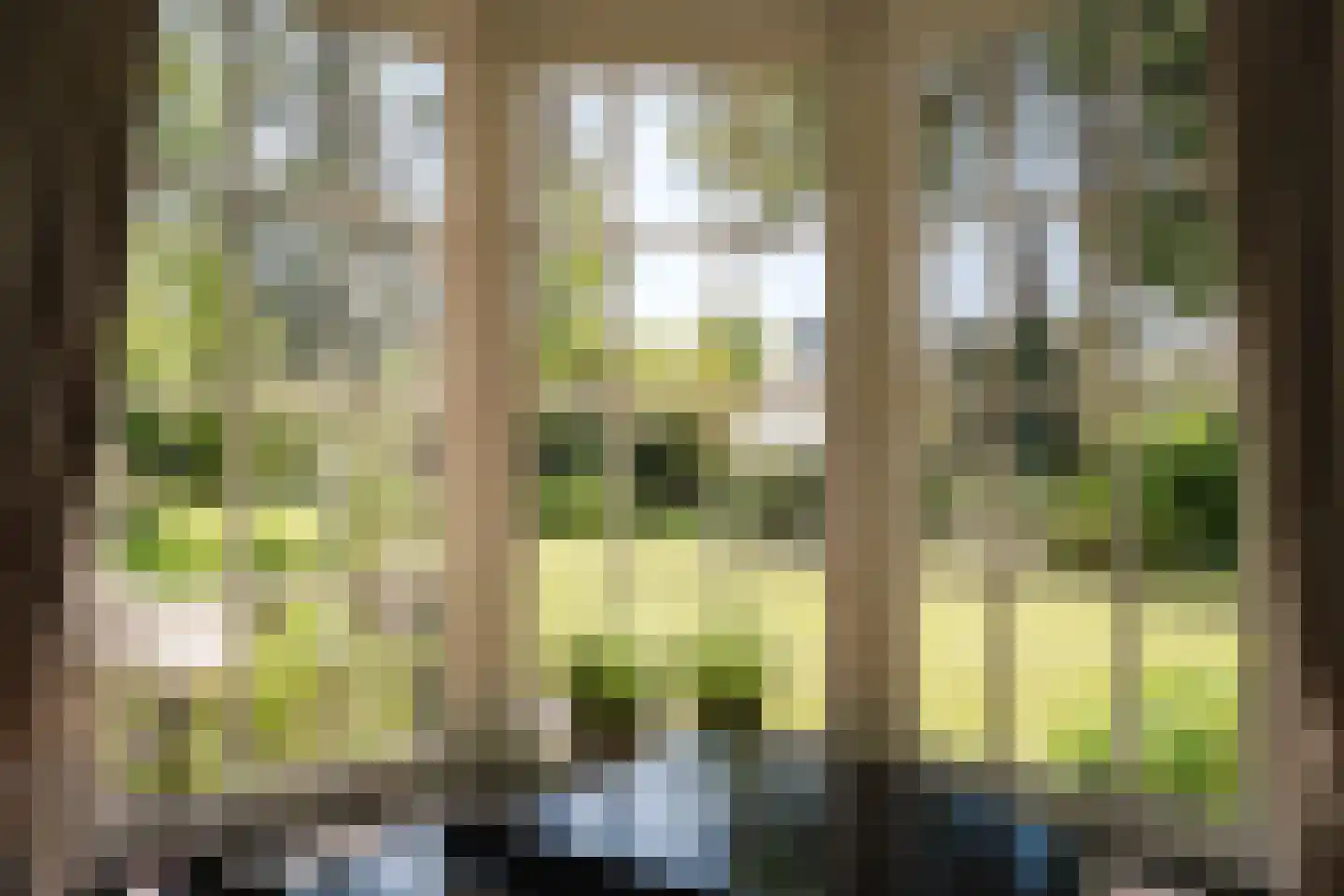 Westerduinweg 3 Aerdenhout thumbnail 8