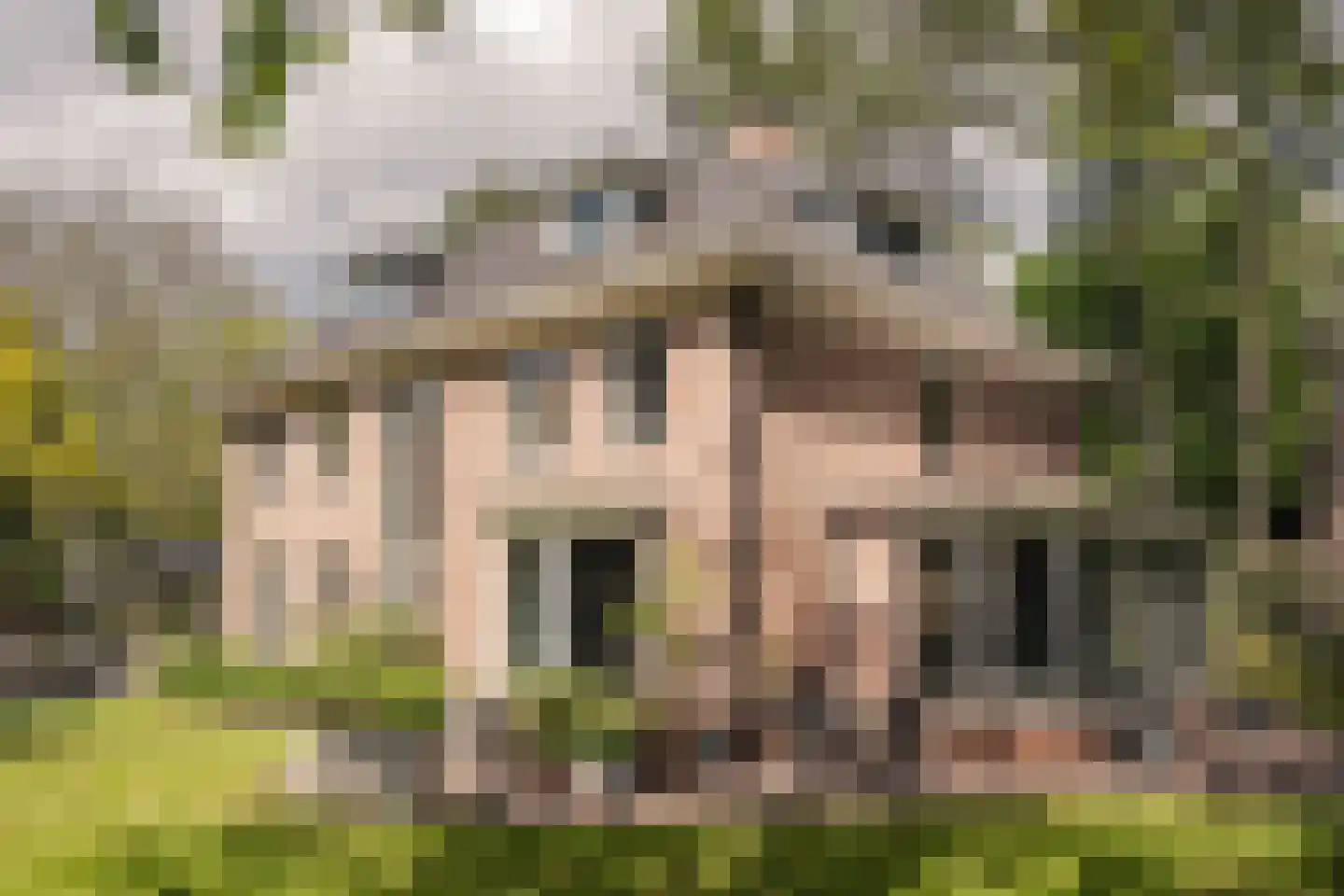 Westerduinweg 3 Aerdenhout thumbnail 9