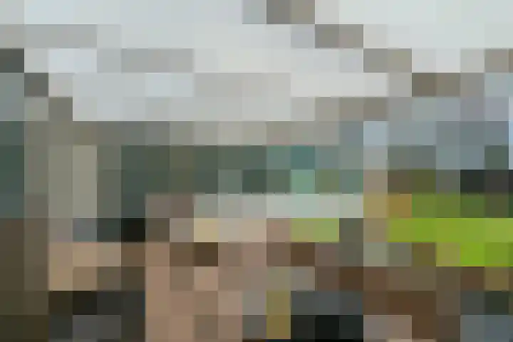 Westerduinweg 34 h104 Sint Maartensvlotbrug thumbnail 18