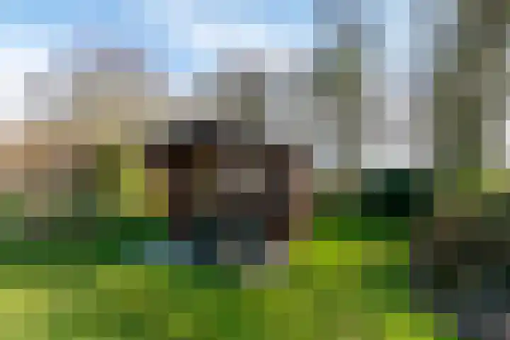 Westerduinweg 34 h104 Sint Maartensvlotbrug thumbnail 24