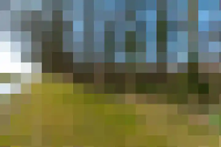 Westerduinweg 34 h104 Sint Maartensvlotbrug thumbnail 27