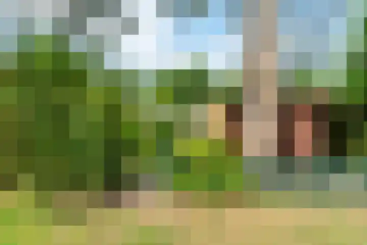 Westerduinweg 34 h130 Sint Maartensvlotbrug thumbnail 29