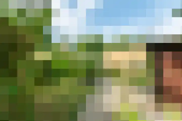 Westerduinweg 34 h130 Sint Maartensvlotbrug thumbnail 30