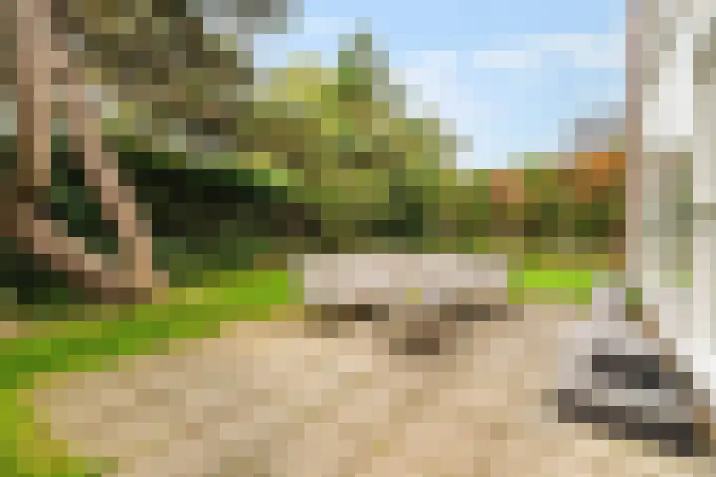 Westerduinweg 34 h31 Sint Maartensvlotbrug thumbnail 25