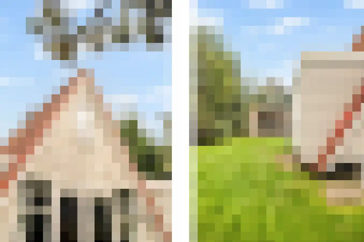 Westerduinweg 34 h31 Sint Maartensvlotbrug thumbnail 26