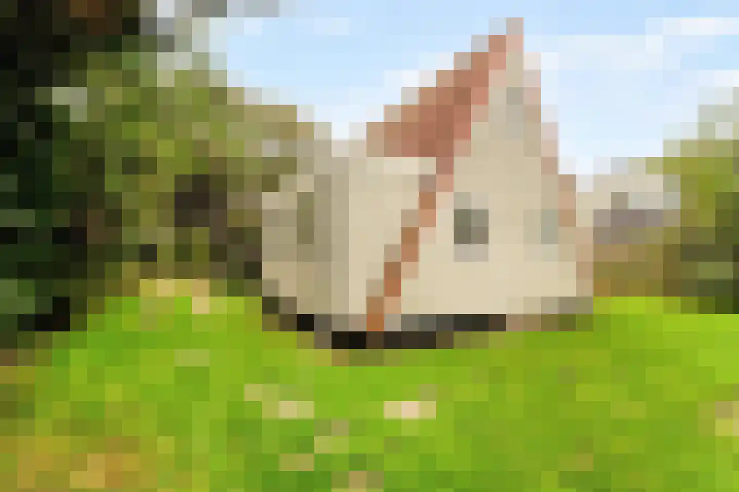 Westerduinweg 34 h31 Sint Maartensvlotbrug thumbnail 27