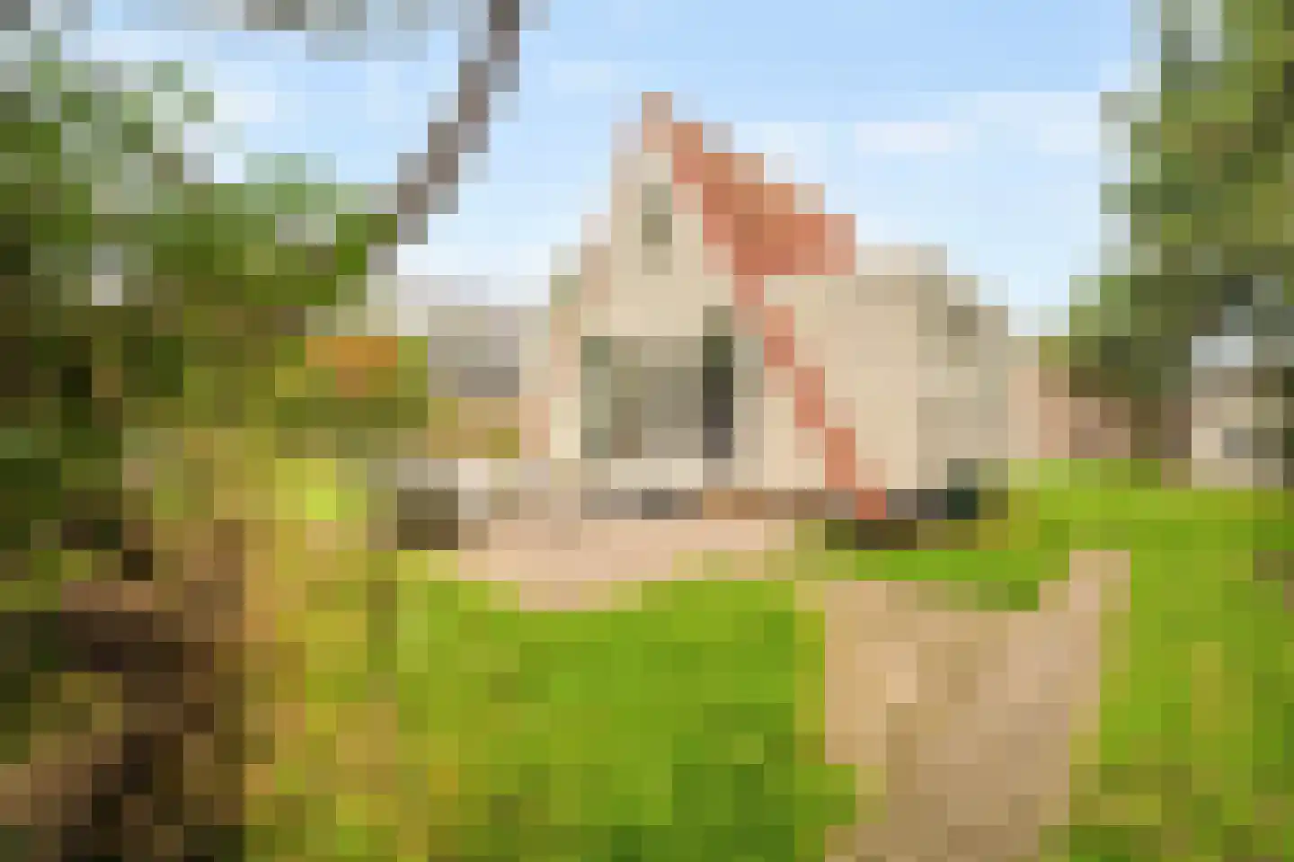 Westerduinweg 34 h31 Sint Maartensvlotbrug thumbnail 28