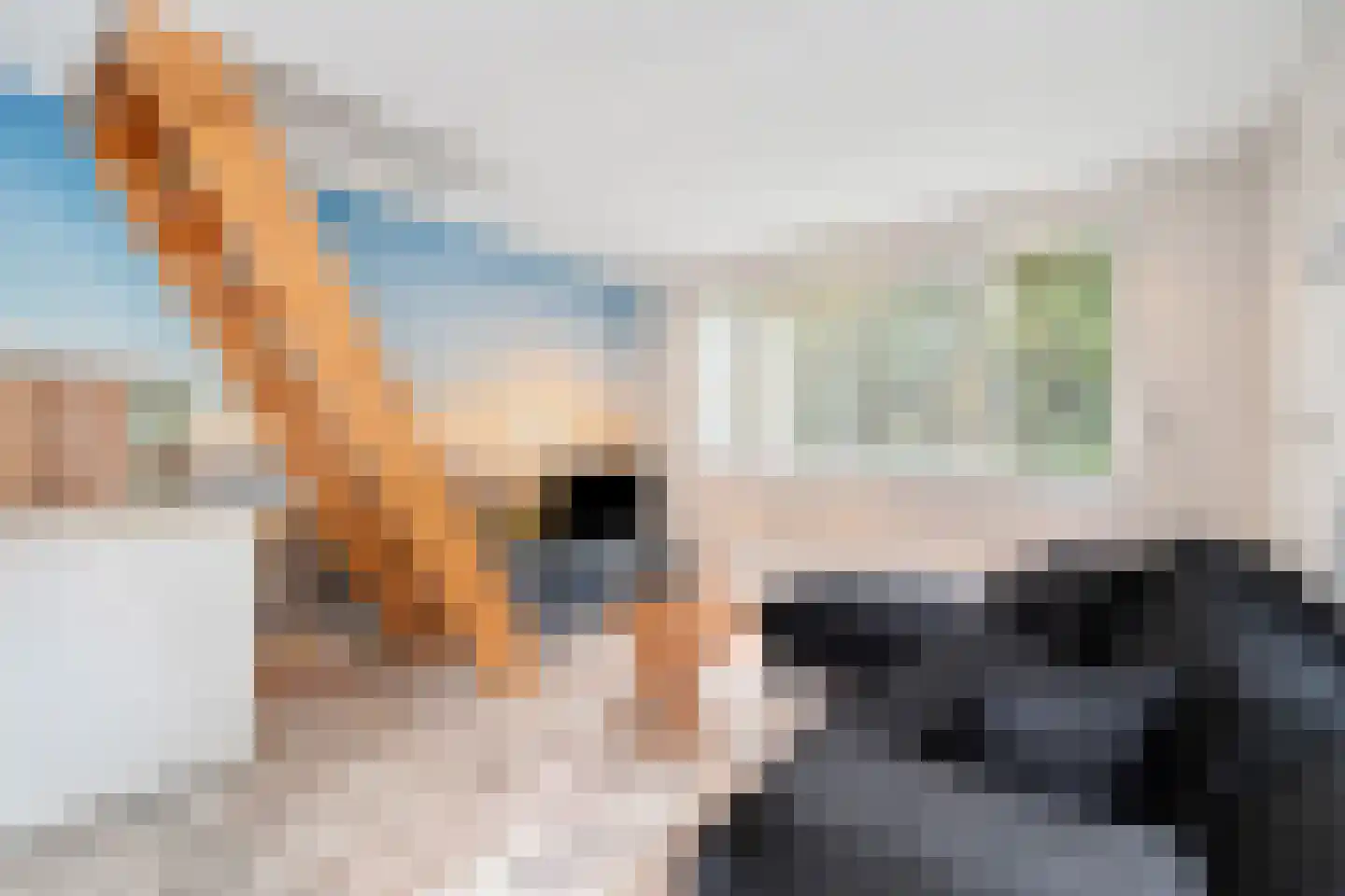 Westerduinweg 34 h31 Sint Maartensvlotbrug thumbnail 6