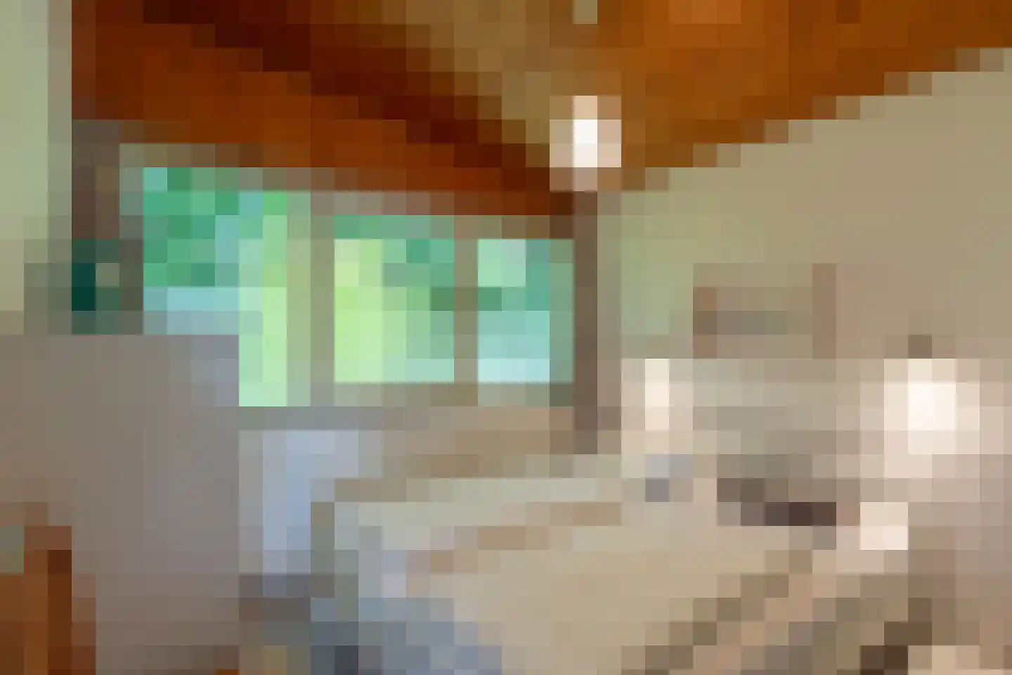 Westerduinweg 34 h67 Sint Maartensvlotbrug thumbnail 15