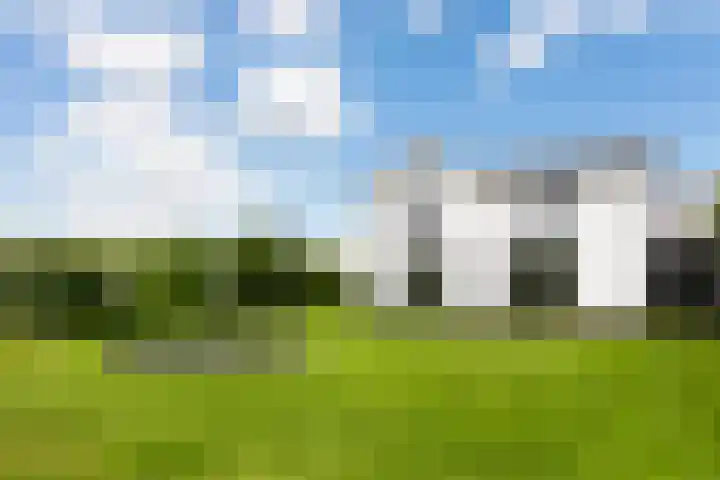 Westerduinweg 8 A Petten thumbnail 31