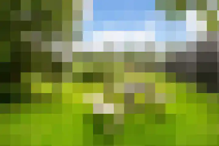 Westerduinweg 8 A Petten thumbnail 32