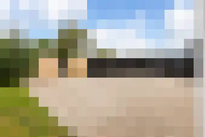 Westerduinweg 8 A Petten thumbnail 4