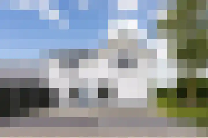 Westerduinweg 8 A Petten thumbnail 41