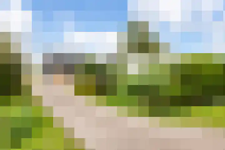 Westerduinweg 8 A Petten thumbnail 5