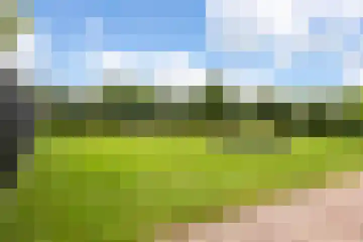 Westerduinweg 8 A Petten thumbnail 6