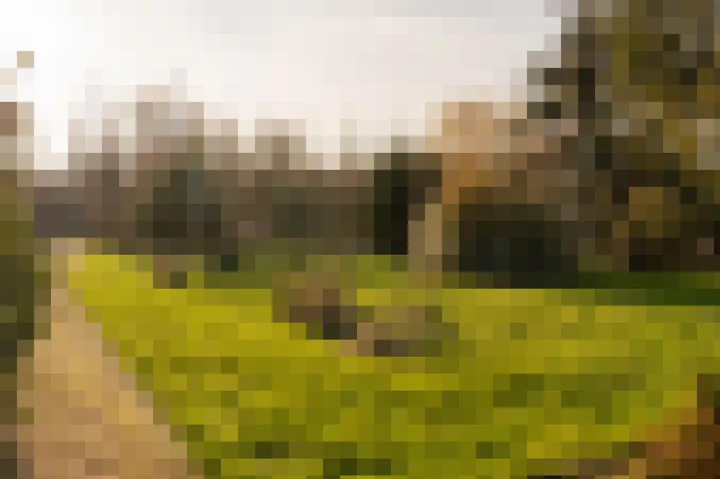 Westerduinweg 8 Petten thumbnail 19