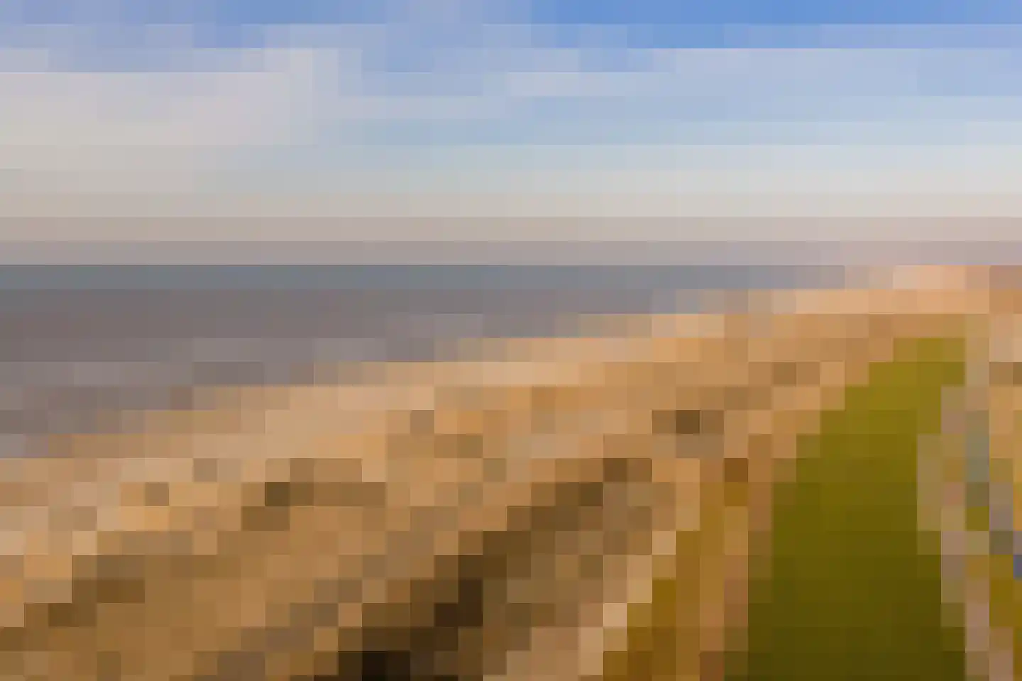 Westerduinweg 8 Petten thumbnail 23