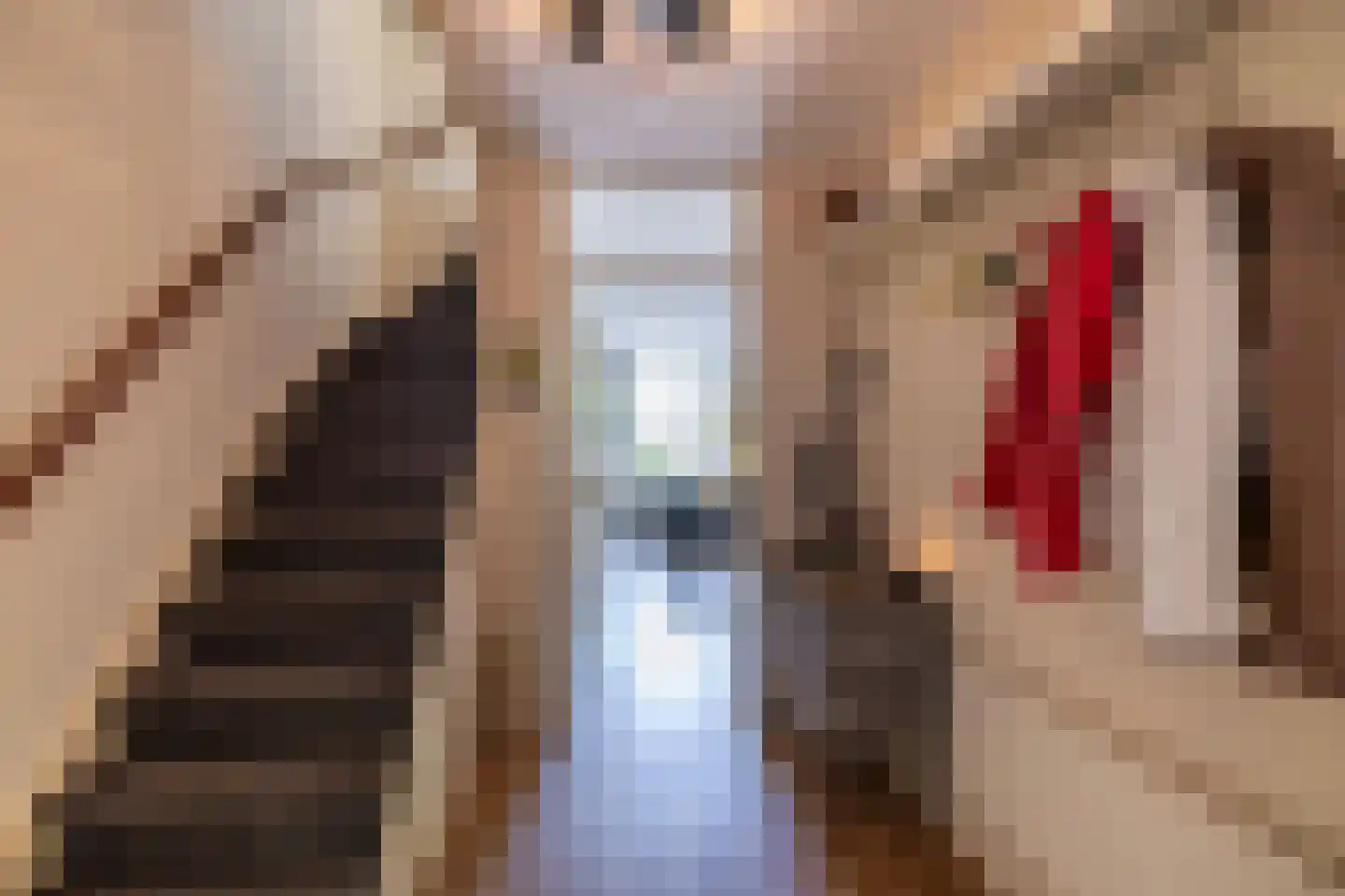 Westereems 15 Veendam thumbnail 14