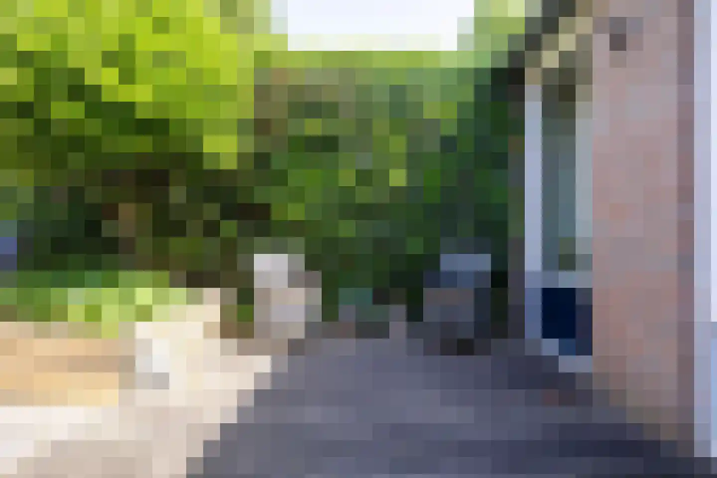 Westereems 15 Veendam thumbnail 55