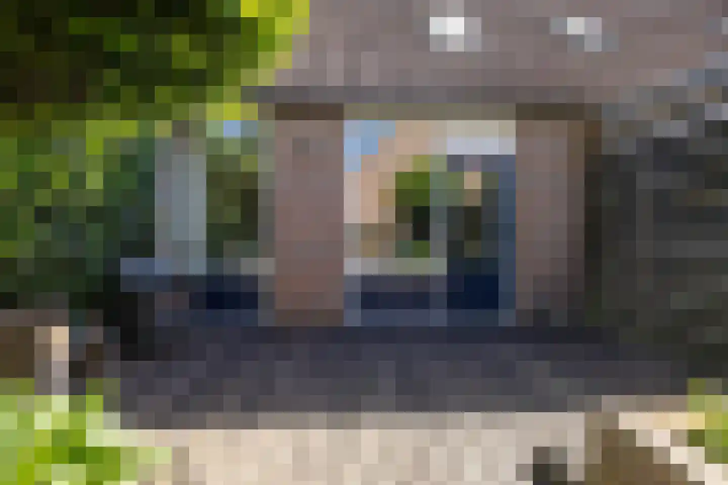 Westereems 15 Veendam thumbnail 58