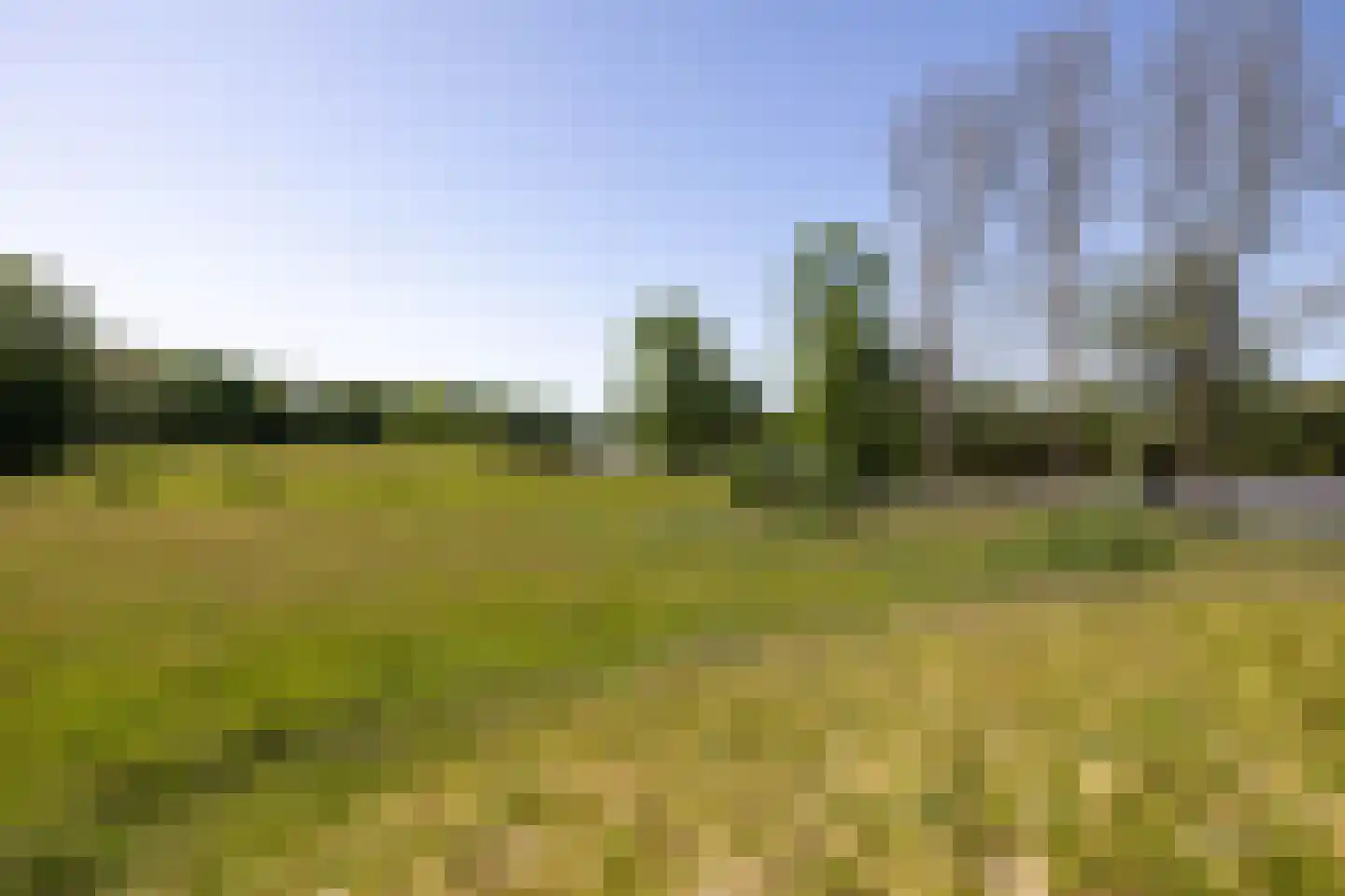 Westereems 15 Veendam thumbnail 61
