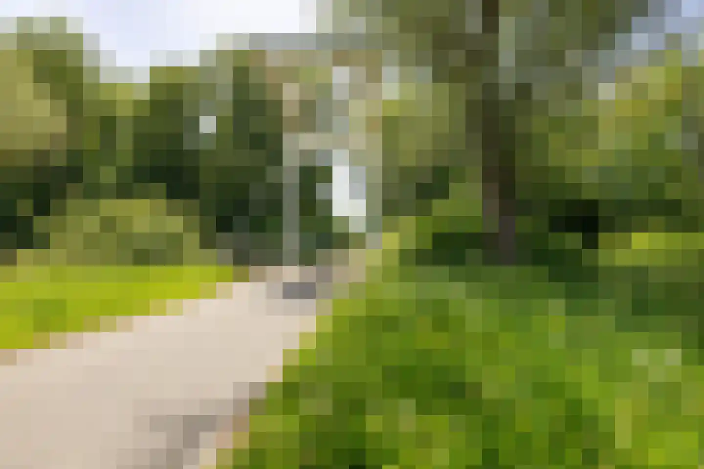 Westereems 15 Veendam thumbnail 63