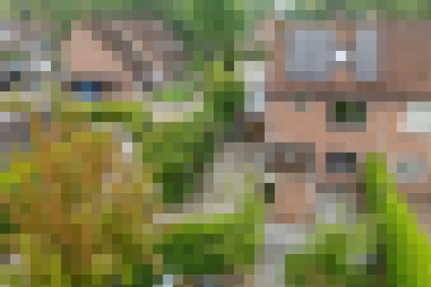 Westereems 16 A Veendam thumbnail 6
